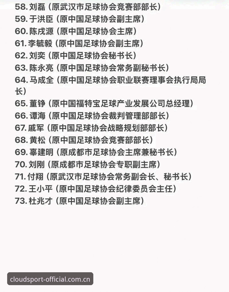 云体育赛场直播下载不了怎么办 17人终身禁赛、48人遭重罚:中国足协第三批禁足名单深度解析